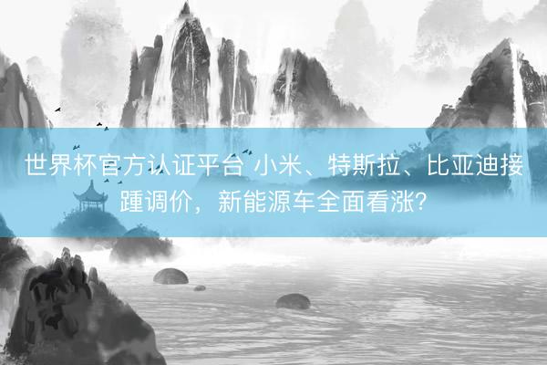世界杯官方认证平台 小米、特斯拉、比亚迪接踵调价,新能源车全面看涨?