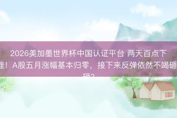 2026美加墨世界杯中国认证平台 两天百点下挫！A股五月涨幅基本归零，接下来反弹依然不竭砸？