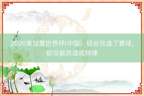 2026美加墨世界杯(中国)  硅谷改造了寰球，却没能改造底特律