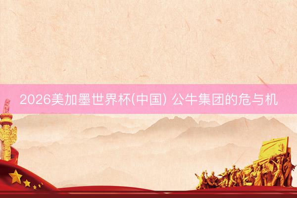 2026美加墨世界杯(中国) 公牛集团的危与机