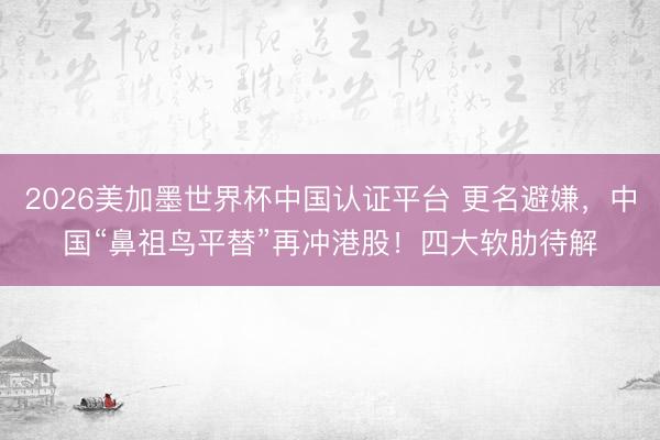 2026美加墨世界杯中国认证平台 更名避嫌，中国“鼻祖鸟平替”再冲港股！四大软肋待解