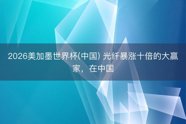 2026美加墨世界杯(中国) 光纤暴涨十倍的大赢家，在中国