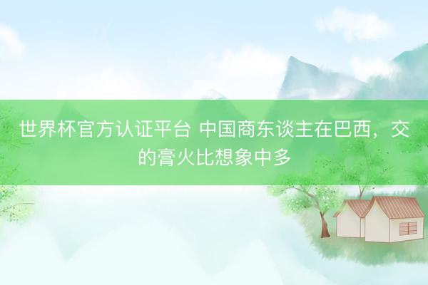 世界杯官方认证平台 中国商东谈主在巴西，交的膏火比想象中多