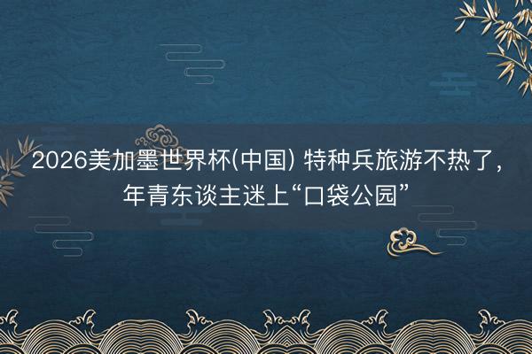 2026美加墨世界杯(中国) 特种兵旅游不热了，年青东谈主迷上“口袋公园”