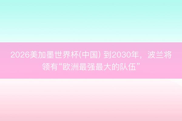 2026美加墨世界杯(中国) 到2030年，波兰将领有“欧洲最强最大的队伍”