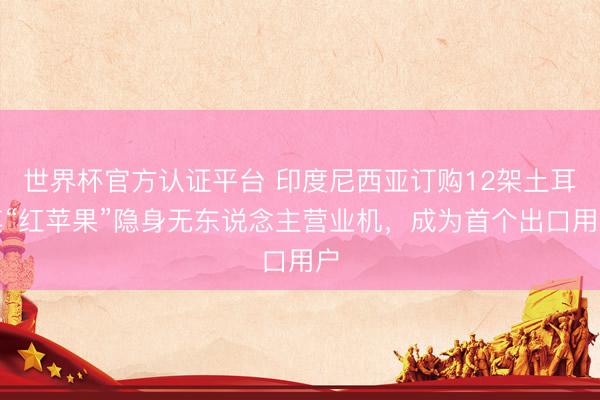 世界杯官方认证平台 印度尼西亚订购12架土耳其“红苹果”隐身无东说念主营业机，成为首个出口用户