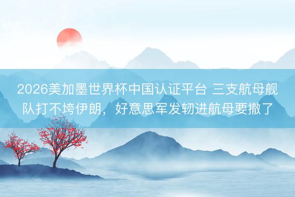 2026美加墨世界杯中国认证平台 三支航母舰队打不垮伊朗，好意思军发轫进航母要撤了