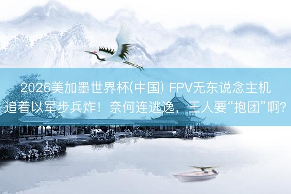 2026美加墨世界杯(中国) FPV无东说念主机追着以军步兵炸！奈何连逃逸，王人要“抱团”啊？