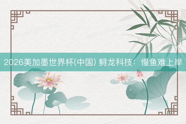 2026美加墨世界杯(中国) 鲟龙科技：慢鱼难上岸