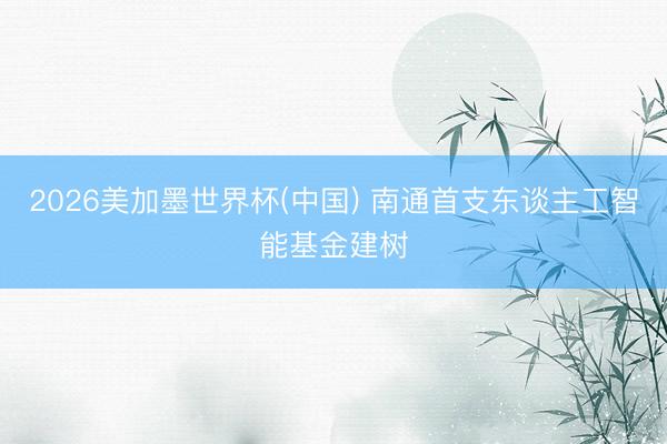 2026美加墨世界杯(中国) 南通首支东谈主工智能基金建树