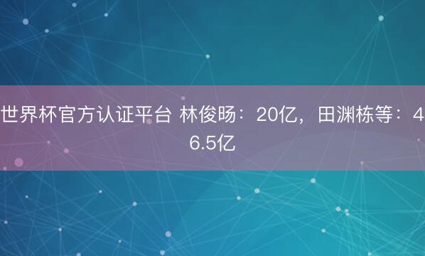 世界杯官方认证平台 林俊旸：20亿，田渊栋等：46.5亿