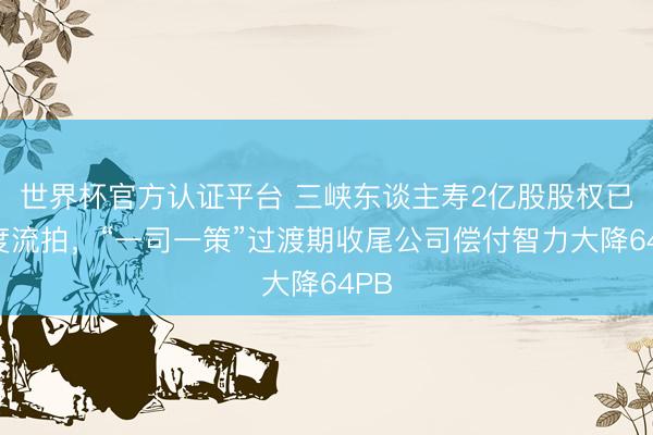 世界杯官方认证平台 三峡东谈主寿2亿股股权已六度流拍，“一司一策”过渡期收尾公司偿付智力大降64PB