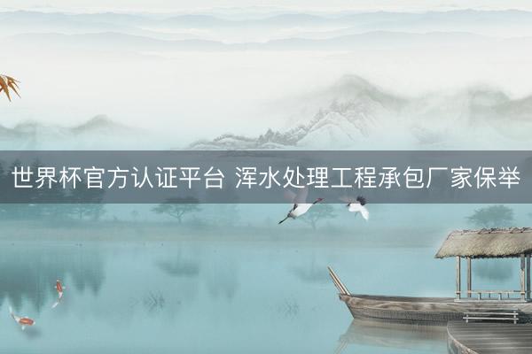 世界杯官方认证平台 浑水处理工程承包厂家保举
