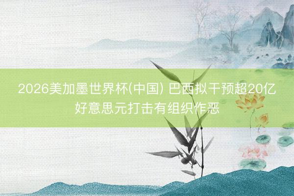 2026美加墨世界杯(中国) 巴西拟干预超20亿好意思元打击有组织作恶