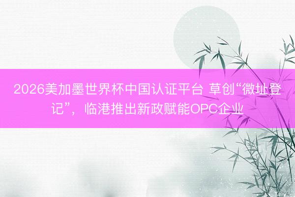 2026美加墨世界杯中国认证平台 草创“微址登记”，临港推出新政赋能OPC企业