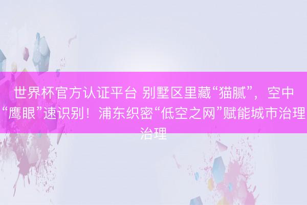 世界杯官方认证平台 别墅区里藏“猫腻”，空中“鹰眼”速识别！浦东织密“低空之网”赋能城市治理