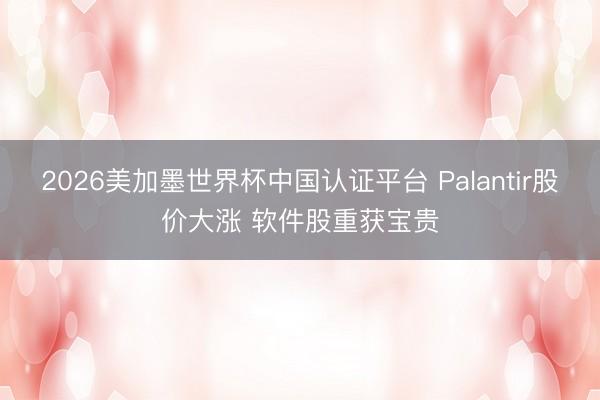 2026美加墨世界杯中国认证平台 Palantir股价大涨 软件股重获宝贵