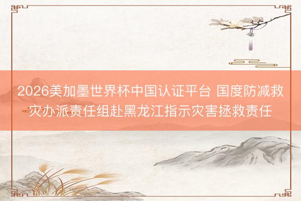 2026美加墨世界杯中国认证平台 国度防减救灾办派责任组赴黑龙江指示灾害拯救责任