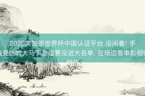 2026美加墨世界杯中国认证平台 没闲着! 手指受伤的大马丁友谊赛没进大名单， 在场边客串影相师