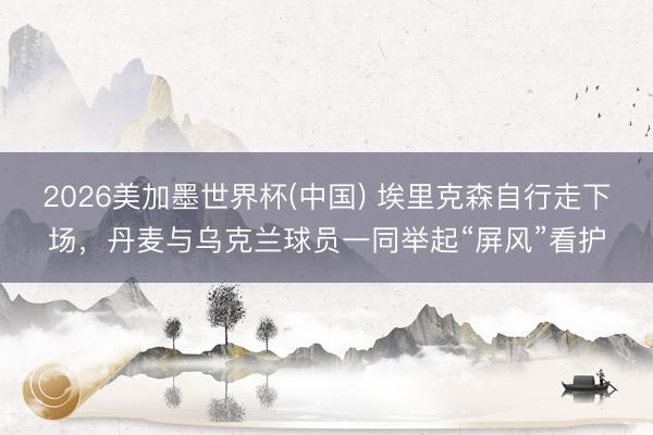 2026美加墨世界杯(中国) 埃里克森自行走下场，丹麦与乌克兰球员一同举起“屏风”看护