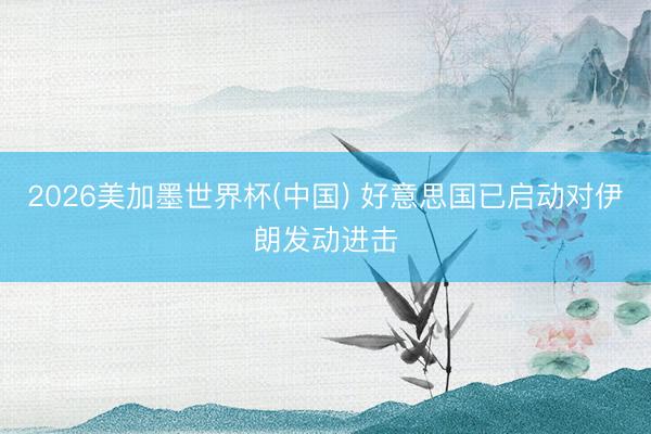 2026美加墨世界杯(中国) 好意思国已启动对伊朗发动进击