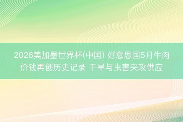 2026美加墨世界杯(中国) 好意思国5月牛肉价钱再创历史记录 干旱与虫害夹攻供应