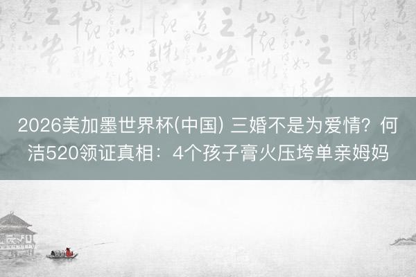 2026美加墨世界杯(中国) 三婚不是为爱情?何洁520领证真相:4个孩子膏火压垮单亲姆妈