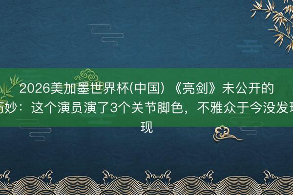 2026美加墨世界杯(中国) 《亮剑》未公开的巧妙：这个演员演了3个关节脚色，不雅众于今没发现