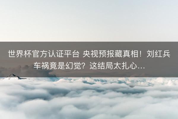 世界杯官方认证平台 央视预报藏真相！刘红兵车祸竟是幻觉？这结局太扎心…