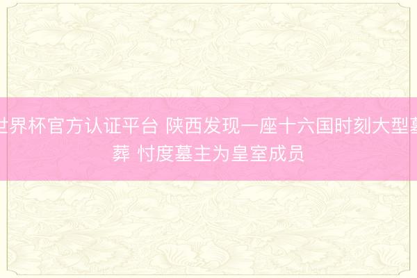 世界杯官方认证平台 陕西发现一座十六国时刻大型墓葬 忖度墓主为皇室成员