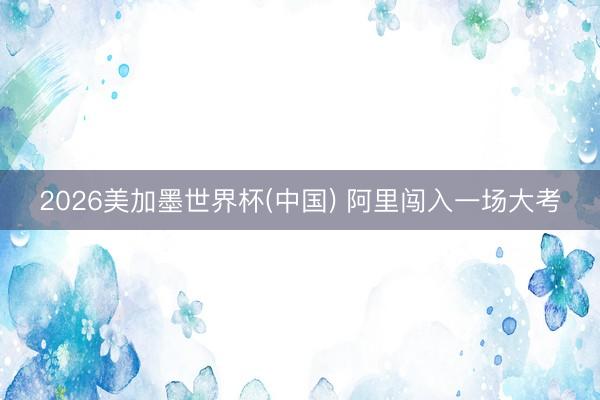 2026美加墨世界杯(中国) 阿里闯入一场大考