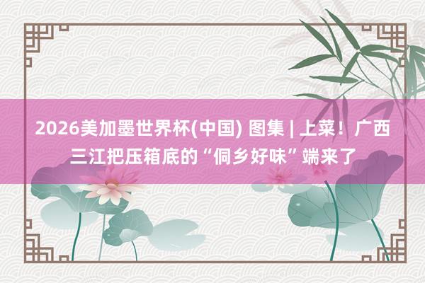 2026美加墨世界杯(中国) 图集 | 上菜！广西三江把压箱底的“侗乡好味”端来了