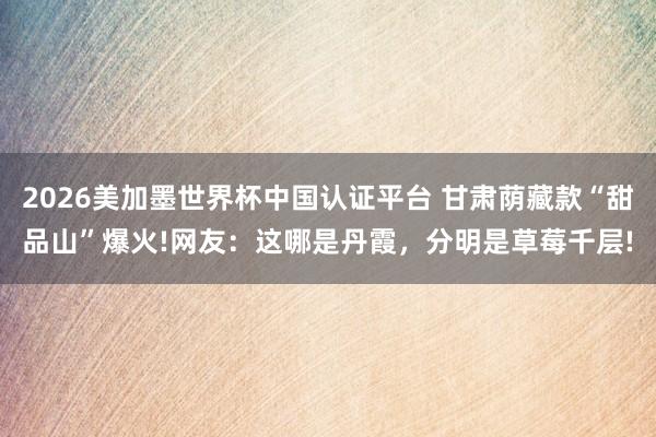 2026美加墨世界杯中国认证平台 甘肃荫藏款“甜品山”爆火!网友：这哪是丹霞，分明是草莓千层!